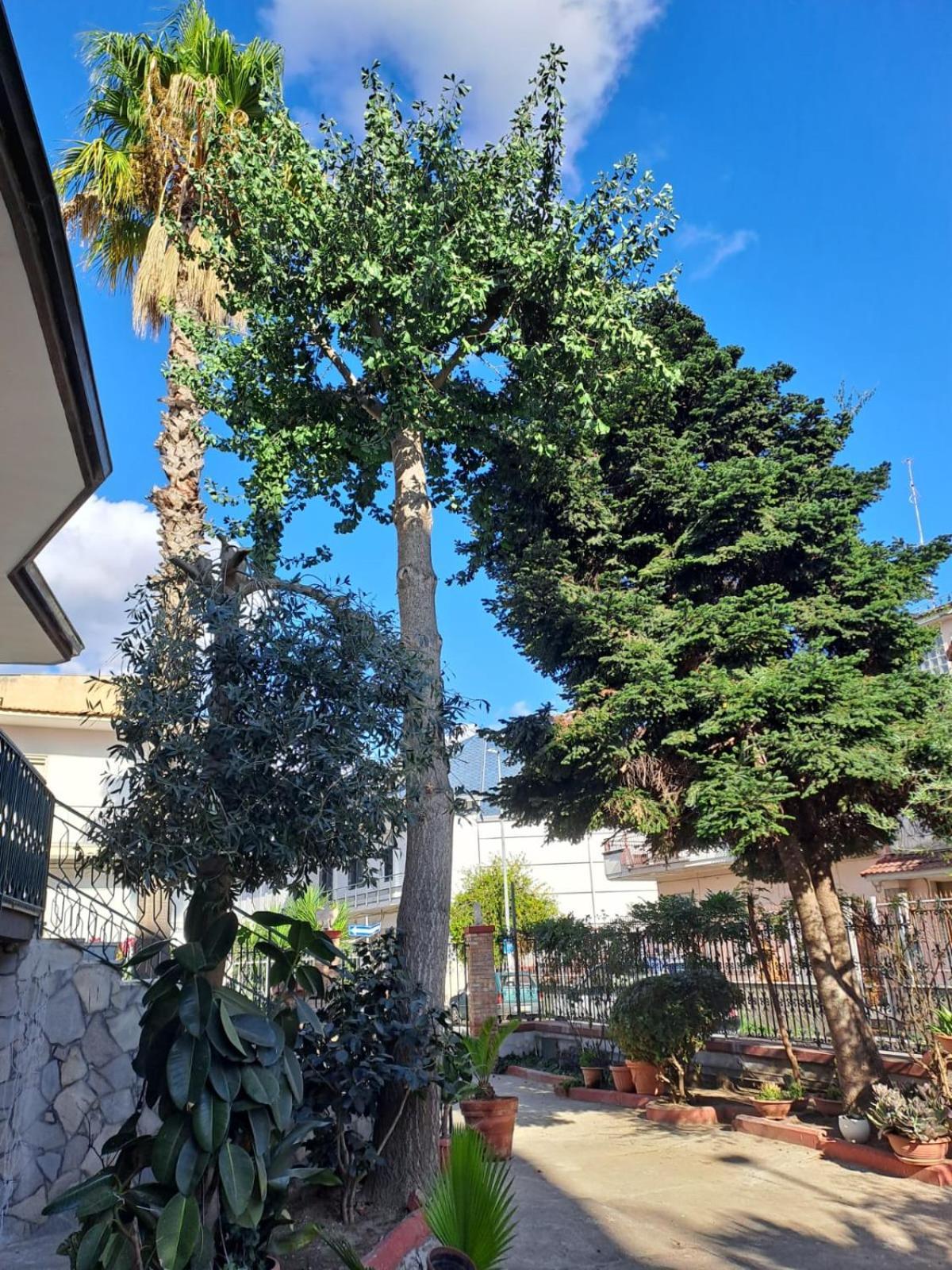 A Casa Di Luigi 2 Lägenhet Mugnano di Napoli Exteriör bild